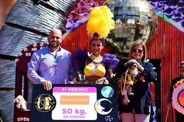  Channel vuelve a subirse al trono del Carnaval Canino con la fantasía 'Platinium'/Lpacarnaval.