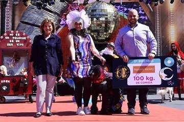  Channel vuelve a subirse al trono del Carnaval Canino con la fantasía 'Platinium'/Lpacarnaval.