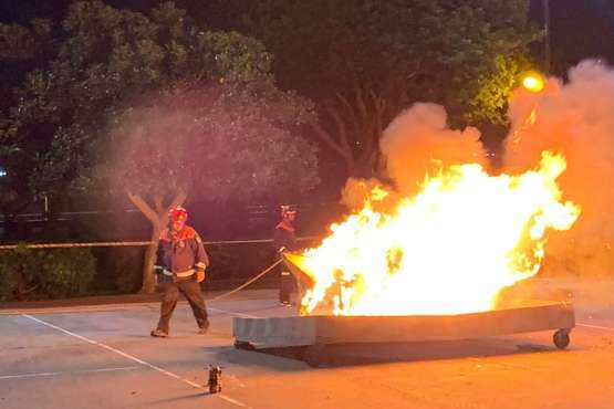 La quema de la sardina pone fin al Carnaval más bollywoodiense de Telde/TA.