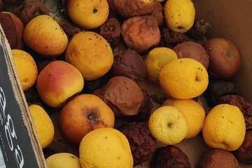 Jazael Quevedo denuncia la