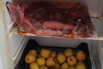 Jazael Quevedo denuncia la