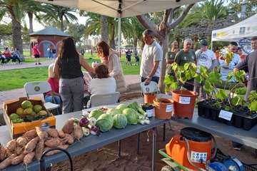 Jinámar disfruta con el tercer encuentro comunitario promovido por el Plan Integral/TA.