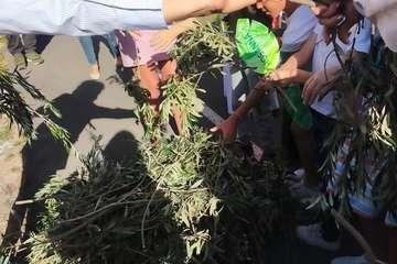 El Calero se suma a la celebración del Domingo de Ramos/TA.