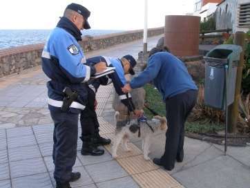 Imagen de archivo de una intervención de policías locales en Telde en la avenida de La Garita (Foto TA)