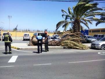 Policía Local y bomberos intervinieron en el suceso (Foto TA)