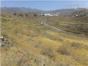 Imagen de archivo de la carretera de Los Picos (Foto TA)