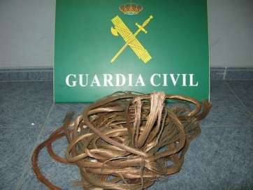 Cobro robado por los ladrones (Foto TA)