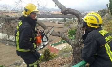 Bomberos cortando el árbol caído en Doña Luisa (Foto TA)