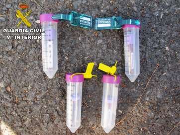 Imagen de uno de los animales sustraídos (Foto Guardia Civil)