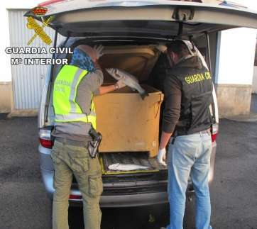 Imágenes del operativo de la Guardia Civil (Foto TA)