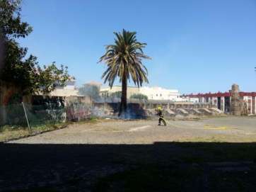 Actuación de los bomberos, este lunes en Picachos (Foto TA)