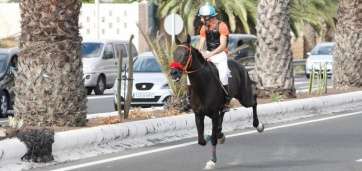 Imagen de archivo de una carrera de caballos en la Avenida del Cabildo (Foto TA)