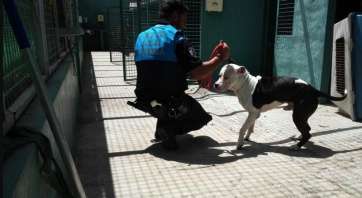 Imagen de la intervención de la Policía Local