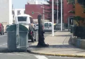 Imagen de la luminaria dañada por el incendio (Foto TA)