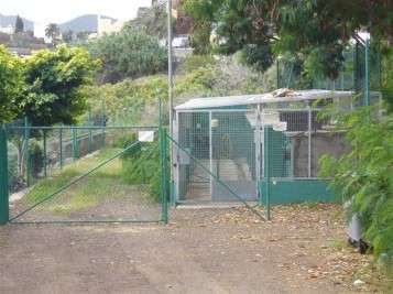 Imagen de archivo de la perrera municipal (Foto TA)