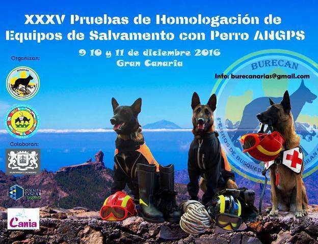 Cartel promocional de las pruebas (Foto TA)