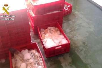 Foto cedida por la Guardia Civil