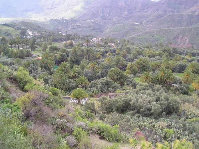 Archivo. Sector de El Ingenio de Santa Lucía de Tirajana (Foto TA)