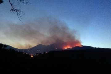 El fuego en la cumbre de Telde visto desde diferentes puntos (Foto TA)