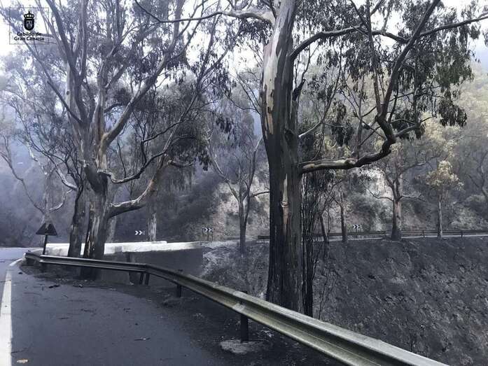 Los efectos del fuego han sido devastadores (Foto TA)