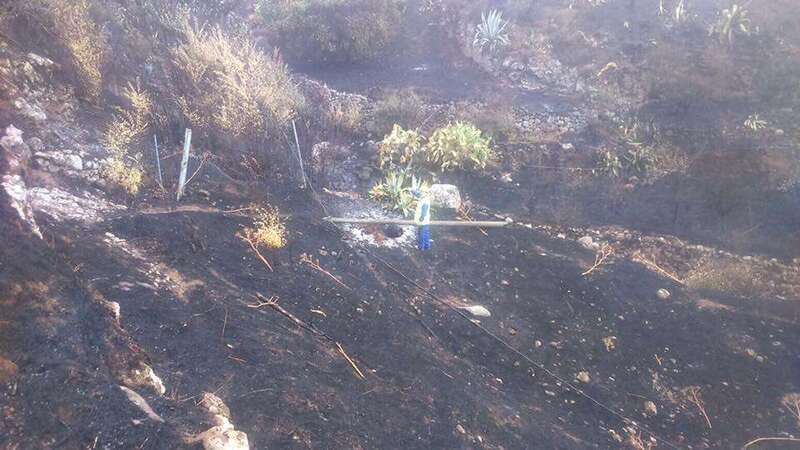 Imagen de archivo de las tareas de extinción (Foto TA)