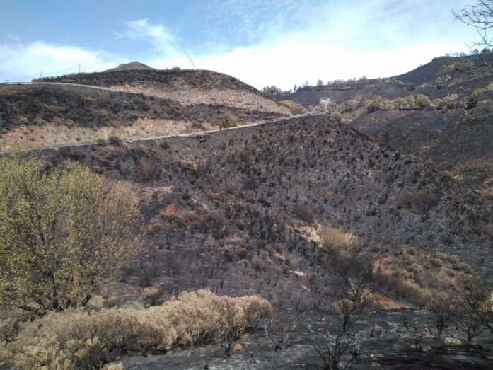 Zona donde se inició el incendio (Foto TA)