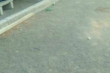 Unidades sanitarizadas y de la Policía Local en el lugar del suceso y estado en que quedó la zona (Foto TAy TRC).