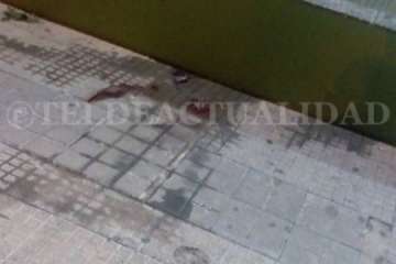 Unidades sanitarizadas y de la Policía Local en el lugar del suceso y estado en que quedó la zona (Foto TAy TRC).