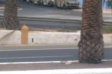 Arden ocho ambulancias del SUC que estaban estacionadas cerca de Narea (Foto TA)