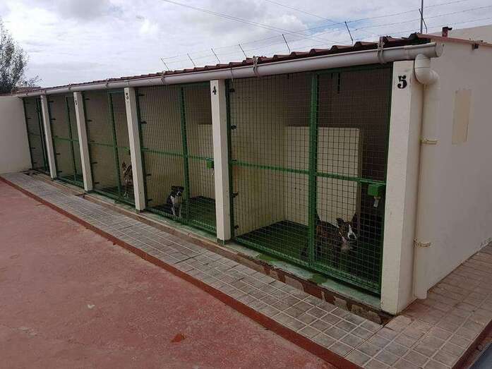 Imagen de archivo del Depósito Temporal de Animales de Telde (Foto TA)