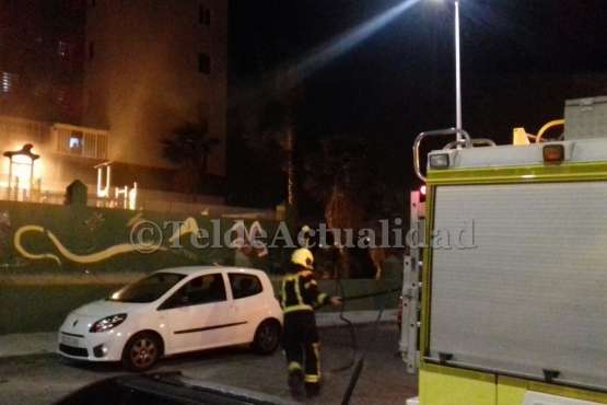 Quema intencionada de palmeras en dos puntos del Valle de Jinámar (Foto TA)