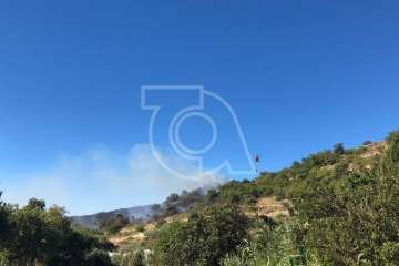 Nuevo incendio forestal en la cumbre de Telde (Foto TA)