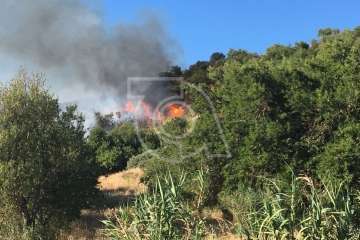 Nuevo incendio forestal en la cumbre de Telde (Foto TA)