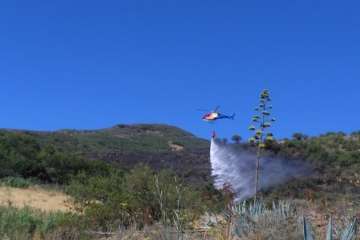 Nuevo incendio forestal en la cumbre de Telde (Foto TA)