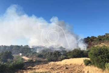 Nuevo incendio forestal en la cumbre de Telde (Foto TA)