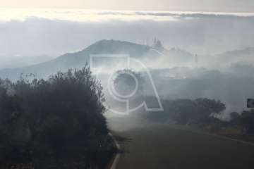 Nuevo incendio forestal en la cumbre de Telde (Foto TA)