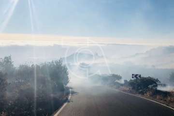 Nuevo incendio forestal en la cumbre de Telde (Foto TA)