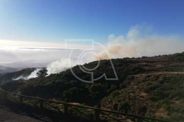 Nuevo incendio forestal en la cumbre de Telde (Foto TA)