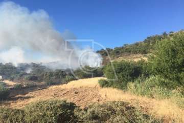 Nuevo incendio forestal en la cumbre de Telde (Foto TA)