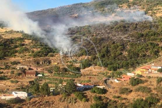 Nuevo incendio forestal en la cumbre de Telde (Foto TA)