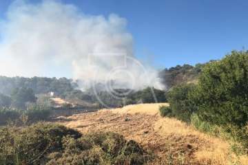 Nuevo incendio forestal en la cumbre de Telde (Foto TA)