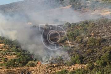 Nuevo incendio forestal en la cumbre de Telde (Foto TA)