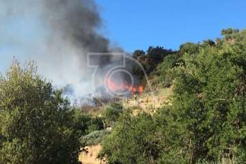 Nuevo incendio forestal en la cumbre de Telde (Foto TA)