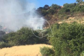 Nuevo incendio forestal en la cumbre de Telde (Foto TA)