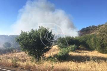 Nuevo incendio forestal en la cumbre de Telde (Foto TA)