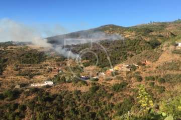Nuevo incendio forestal en la cumbre de Telde (Foto TA)