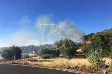 Nuevo incendio forestal en la cumbre de Telde (Foto TA)