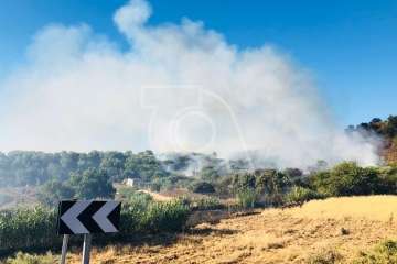 Nuevo incendio forestal en la cumbre de Telde (Foto TA)