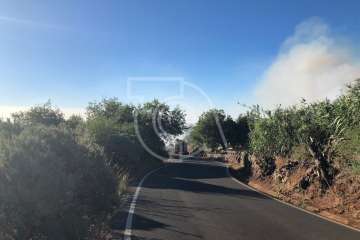 Nuevo incendio forestal en la cumbre de Telde (Foto TA)