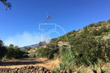 Nuevo incendio forestal en la cumbre de Telde (Foto TA)